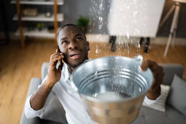 Best Water damage restoration near me  in North Great River, NY