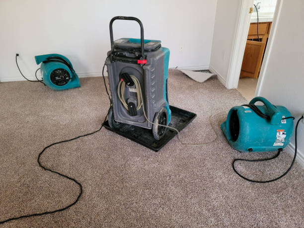 Best Water damage restoration near me  in North Great River, NY