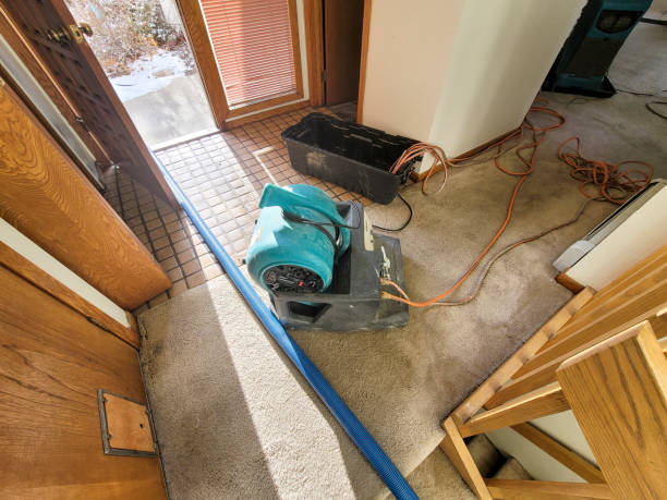 Best Carpet water damage restoration  in North Great River, NY