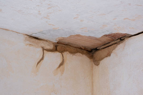 Best Water damage contractors near me  in North Great River, NY
