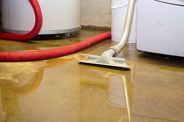 Best Ceiling water damage repair  in North Great River, NY