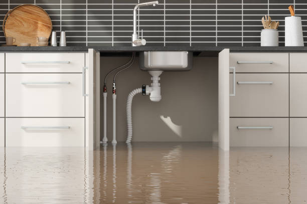 Best Flood damage cleanup  in North Great River, NY