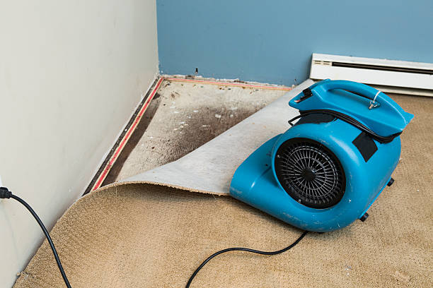 24/7 water damage repair in North Great River, NY